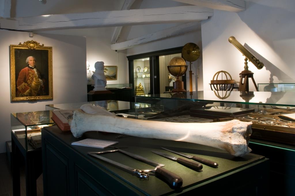 Cabinet de curiosités Musee Buffon Montbard