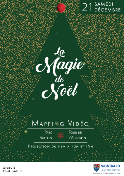 Mapping_Affiche